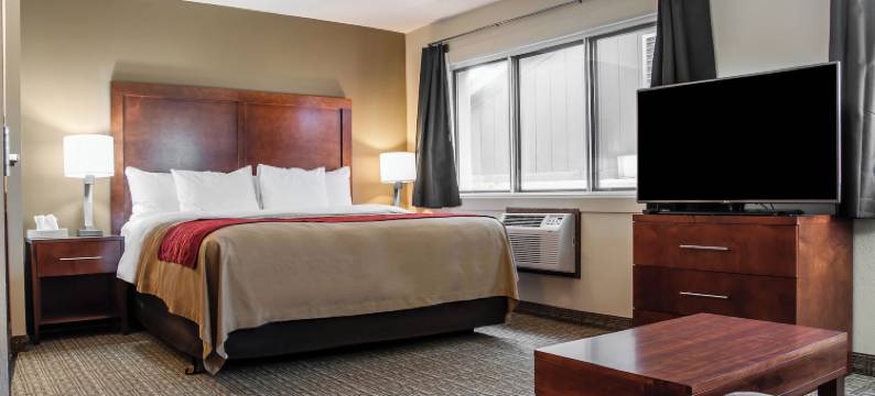 舒适酒店(Comfort Inn)图片