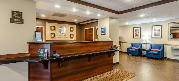 克里斯琴斯堡 I-81 舒适套房酒店(Comfort Inn & Suites Christiansburg I-81)图片