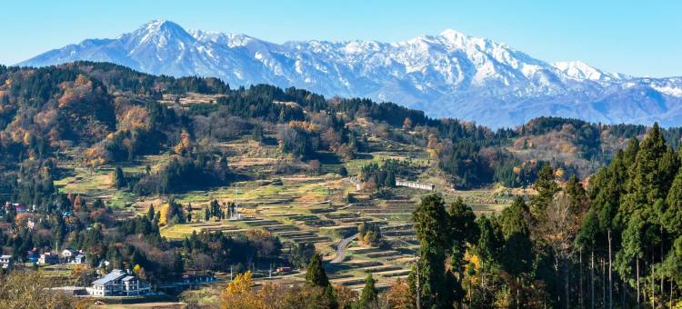 和平索纳酒店(Yasuragiso)图片