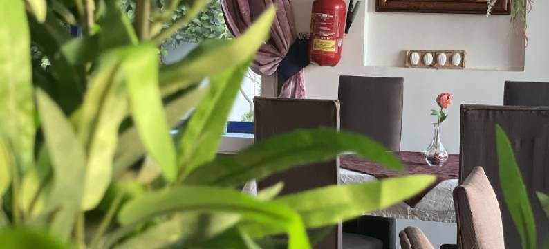 奥利迪亚之梦旅馆(Auberge Oualidia Dream)图片