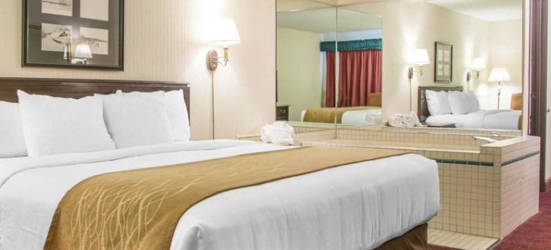 湖滨舒适酒店(Comfort Inn Lakeside)图片