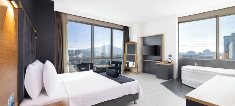 希尔顿酒店(My Plus Hotel Ataşehir)图片