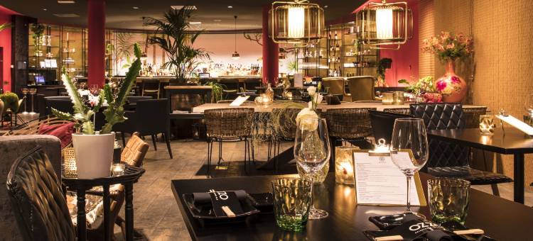 萨森海姆范德瓦尔克酒店 - 莱顿(Van der Valk Hotel Sassenheim - Leiden)图片