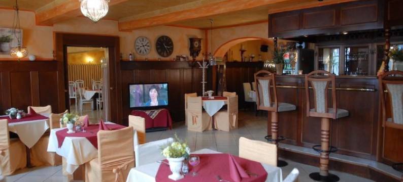 施瓦泽酒馆式酒店(Hotel Schwarzer Bär)图片