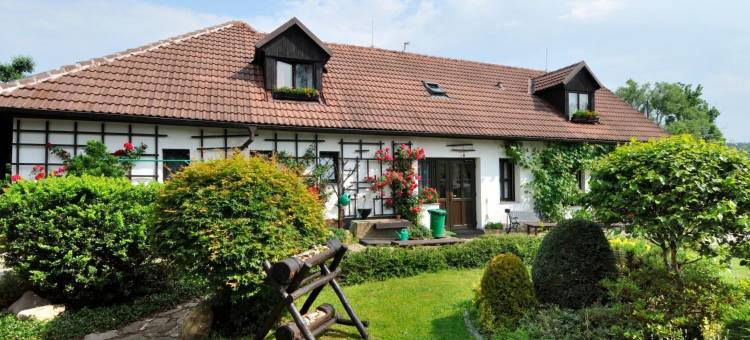 里贾纳旅馆(Pension Regina)图片