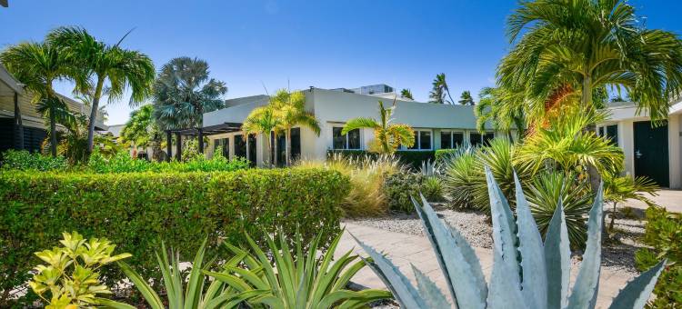 voco 阿鲁巴冲浪边酒店 by IHG(Talk of the Town Beach Hotel & Beach Club by GH Hoteles)图片