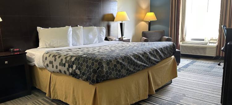 费城超级套房旅馆(Super Inn & Suites Philadelphia)图片