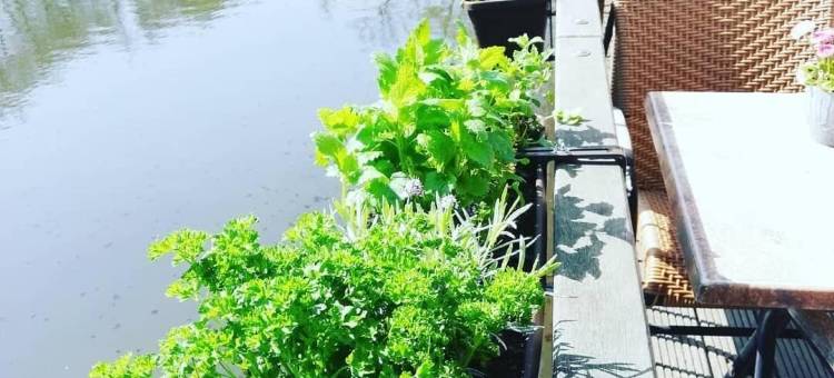 海利根塔尔瓦瑟穆赫酒店(Wassermühle Heiligenthal)图片