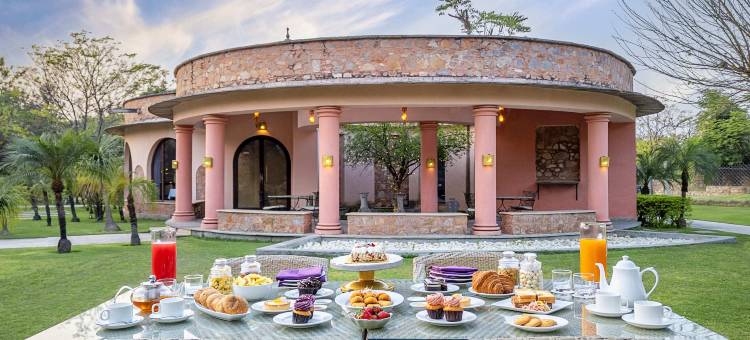齐普尔生命之树水疗度假村(Tree of Life Resort & Spa Jaipur)图片