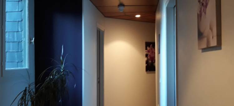 沙隆日酒店(Citotel Le Challonge)图片