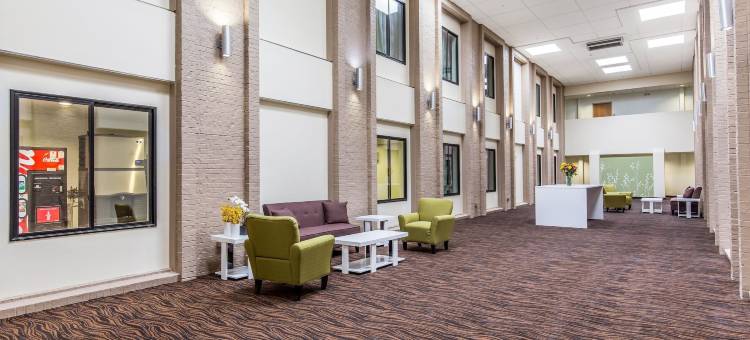 舒眠达拉斯爱田-医学园区酒店(Sleep Inn Dallas Love Field-Medical District)图片