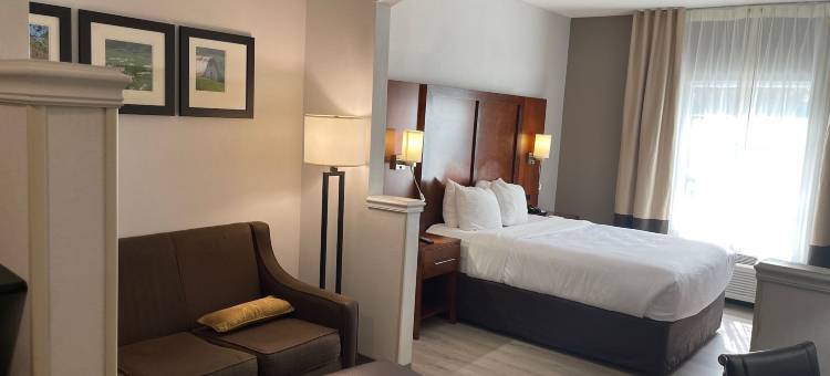 索尔兹伯里I-85舒适套房酒店(Comfort Suites Salisbury I-85)图片