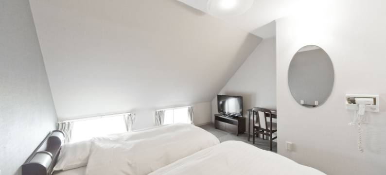 新大久保国际酒店(The Shin-Okubo International Hotel)图片