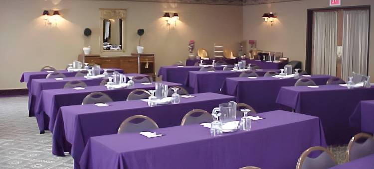 智选假日套房酒店布卢明顿市中心 - 正常(Holiday Inn Express & Suites Bloomington - Normal)图片