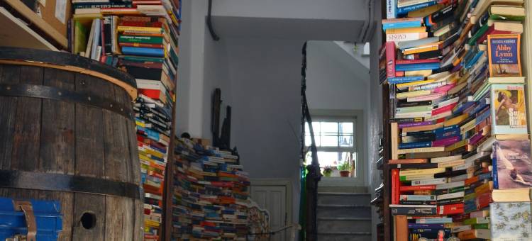 图书馆老鼠 - 旅馆(Ratones de Biblioteca)图片