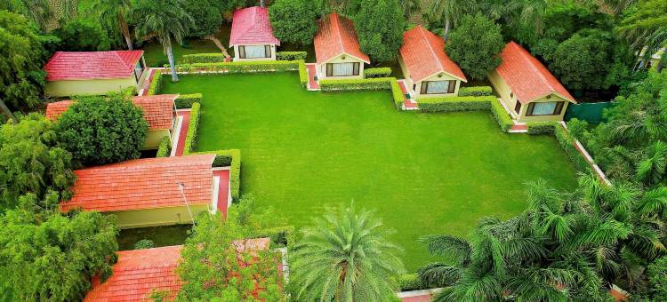 贾斯塔拉杰普塔纳住宿(JüSTa Rajputana Resort & Convention Centre, Udaipur)图片