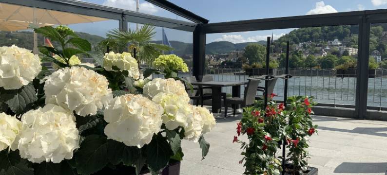 莱茵ARTE别墅(RheinVilla Arte)图片