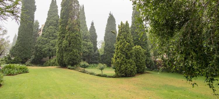 Road Lodge - 约翰内斯堡机场(Road Lodge JNB Airport)图片