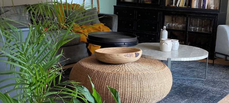 卢瓦尔河畔(Ô Bord de Loire)图片