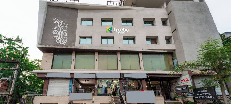 Treebo 麝香(Treebo Musk)图片