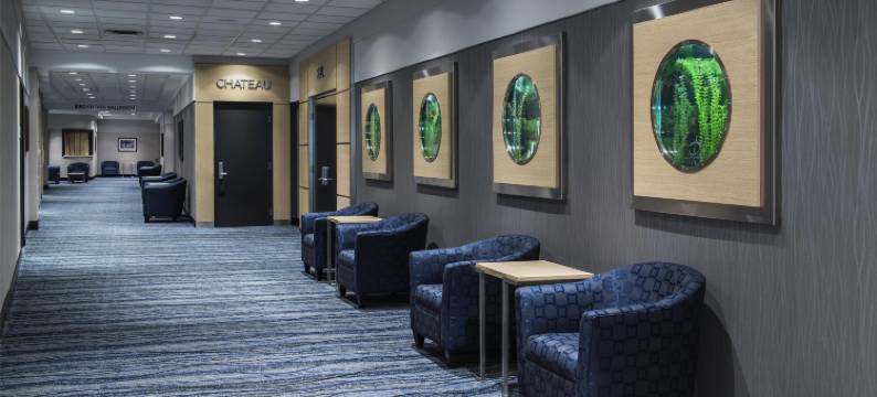 Birchwood Inn, BW Premier Collection图片