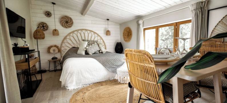 波希米亚之夜(Nuitées Bohèmes)图片