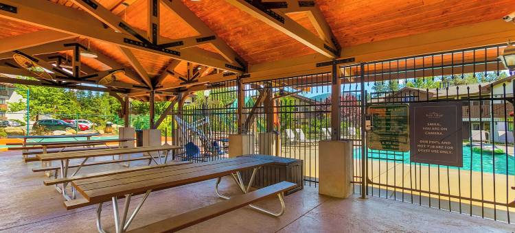 达莎的单板滑雪道 - 冰柱村(Dasha's Snowboard Track - Icicle Village)图片