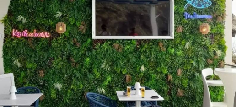 地中海马德拉(Mediterrâneo Madeira)图片