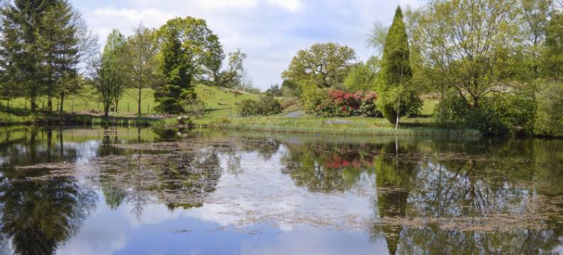 海佐 - 伍德兰小屋酒店(Hazel - Woodland Cottages)图片