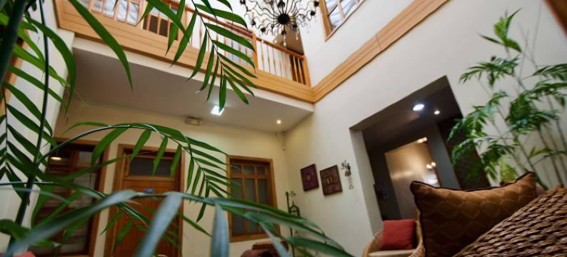 昆卡佩佩之家酒店&青年旅舍(Pepe's House Cuenca I Hotel & Boutique Hostel)图片