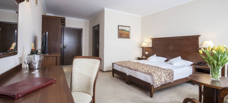 卢比兹酒店(Hotel Lubicz)图片