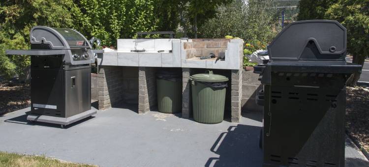 峡谷之星汽车旅馆(Valley Star Motel)图片