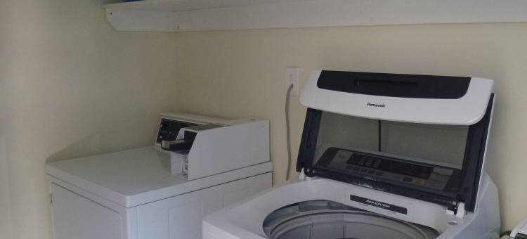 莫斯吉尔贝拉维斯塔汽车旅馆(Bella Vista Motel Mosgiel)图片