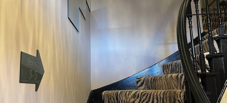 海景(Beachview)图片