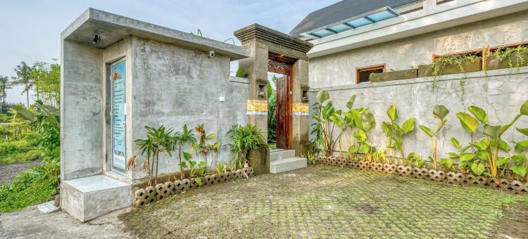 乌布米拉别墅(Villa Mirah Ubud)图片