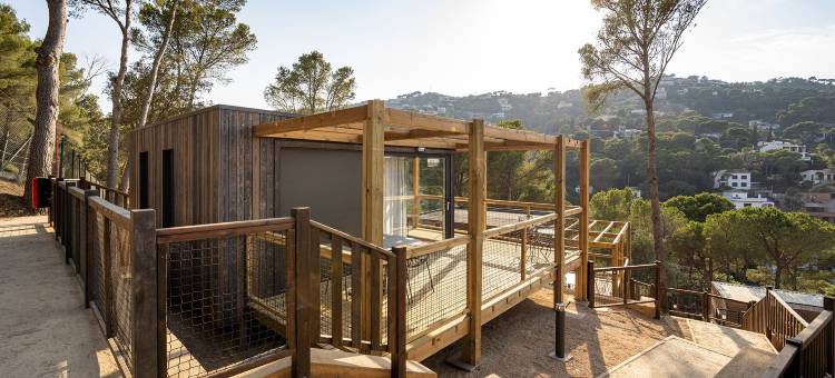 Talaia Plaza生态度假村(Talaia Plaza Ecoresort)图片