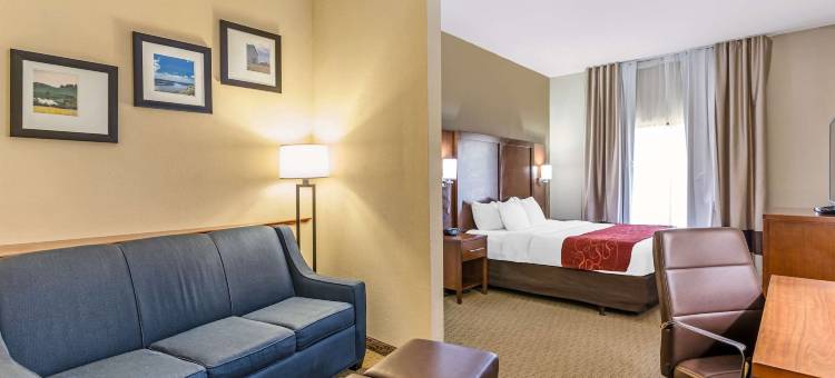 亨廷顿索斯波因特舒适套房酒店(Comfort Suites South Point - Huntington)图片