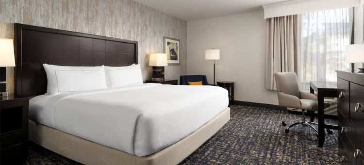 里士满中洛锡安希尔顿逸林酒店(DoubleTree by Hilton Richmond - Midlothian)图片