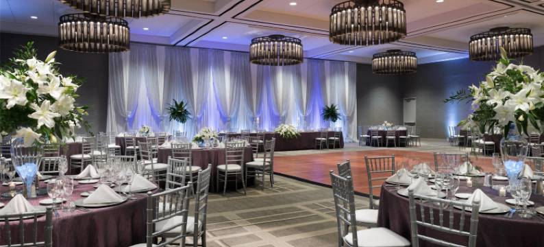 凯悦酒店-绍姆堡芝加哥(Hyatt Regency Schaumburg Chicago)图片