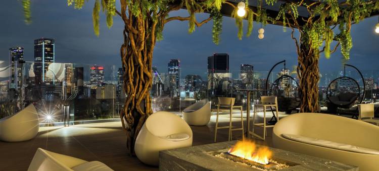 ULIV墨西哥城(ULIV Mexico City)图片