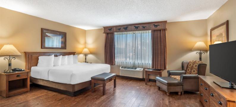 凯利贝斯特韦斯特优质套房酒店(Best Western Plus Kelly Inn  Suites)图片