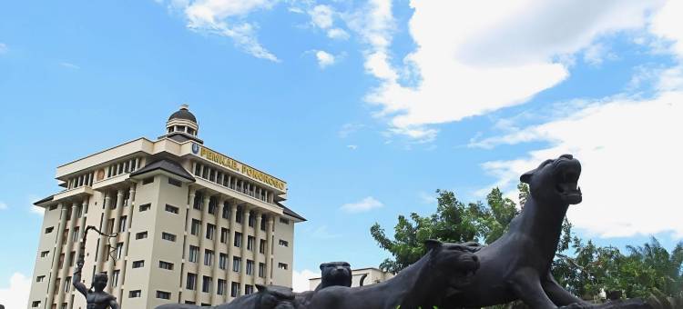 马埃萨酒店(Maesa Hotel)图片