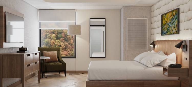 加德林堡市中心英迪格酒店(洲际酒店集团)(Hotel Indigo Gatlinburg Downtown by IHG)图片