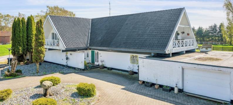 达奇斯-dk(Dutchies-dk)图片