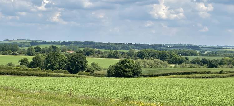 Cabins in Oxfordshire with Hot Tub & Meadow Views图片