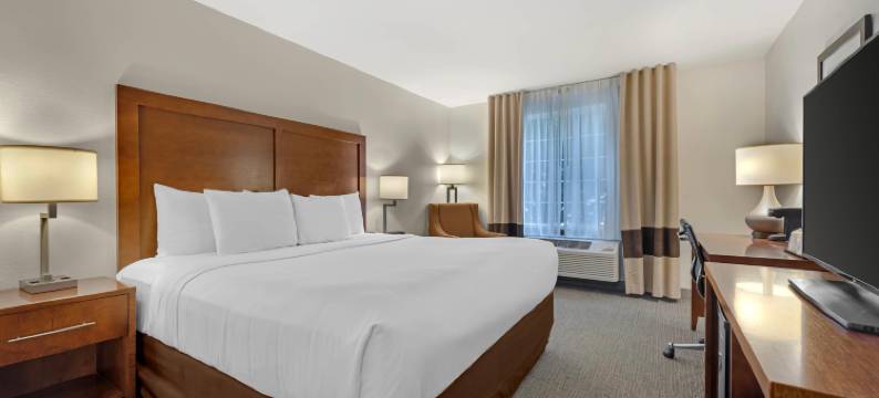 咆哮叉河卡本戴尔舒适套房酒店(Comfort Inn & Suites Carbondale on the Roaring Fork)图片