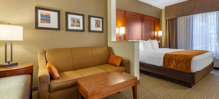 舒适套房酒店(Comfort Suites)图片