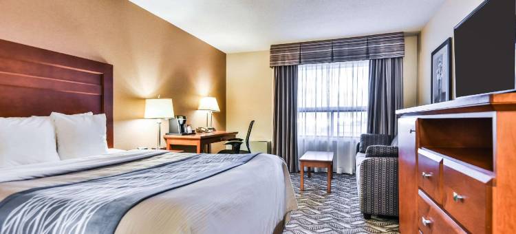 舒适酒店及套房大使桥(Comfort Inn & Suites Ambassador Bridge)图片