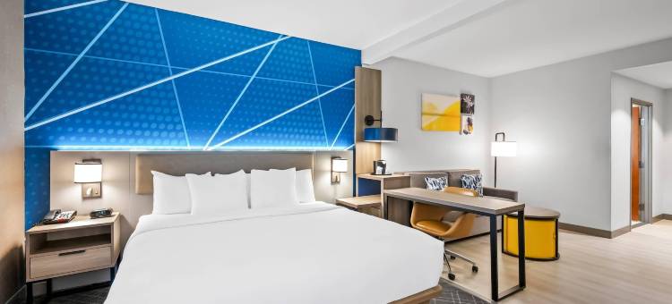 舒适套房酒店(Comfort Suites Conway)图片