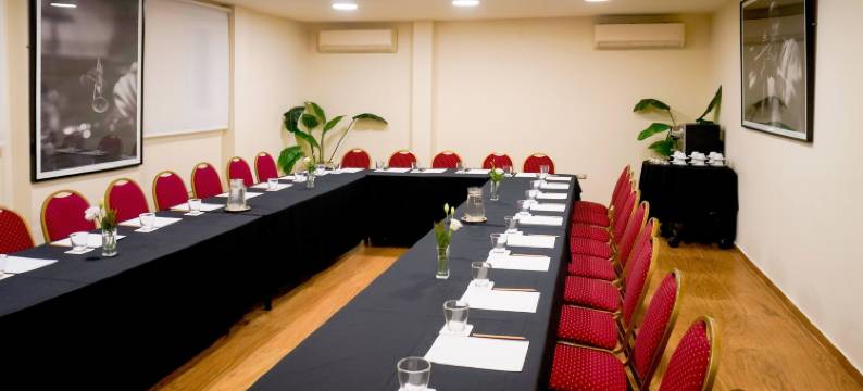 雷科莱塔广场美利亚酒店(Melia Recoleta Plaza)图片